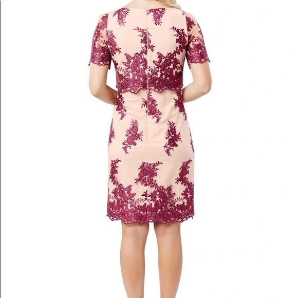 REVIEW | Heavenly Lace Dress - Berry & Champagne | AU 12 - Picture 7 of 12